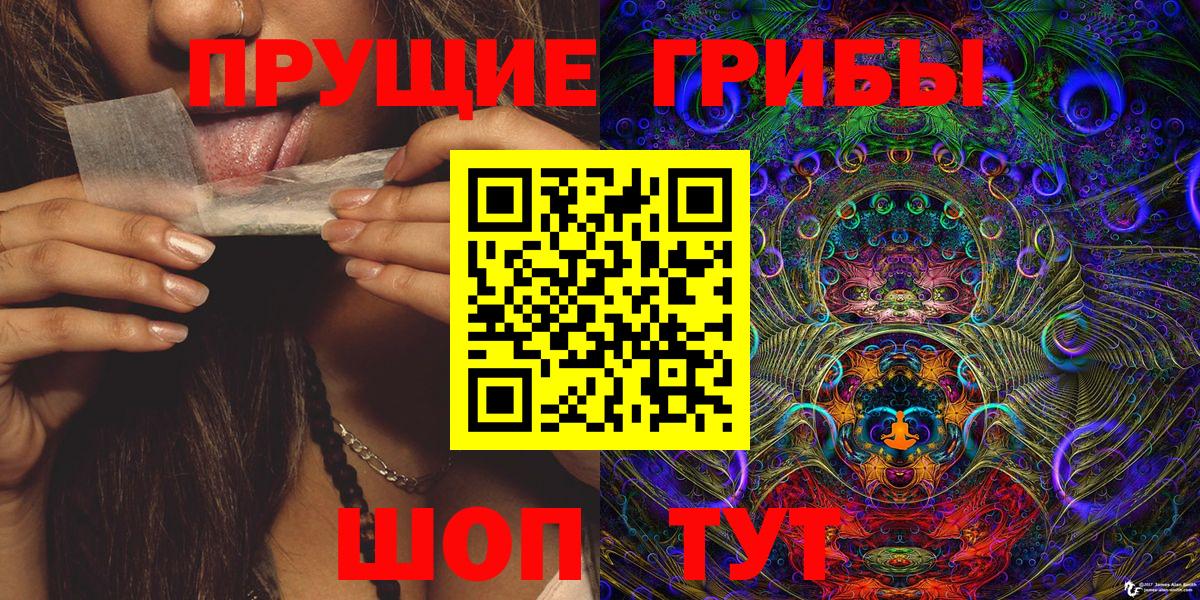 Псилоцибиновые грибы Cubensis  Вход с VPN  Кингисепп 