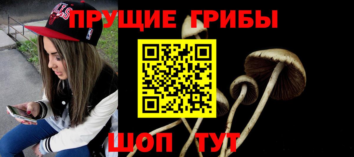 Галлюциногенные грибы Psilocybine cubensis Кингисепп